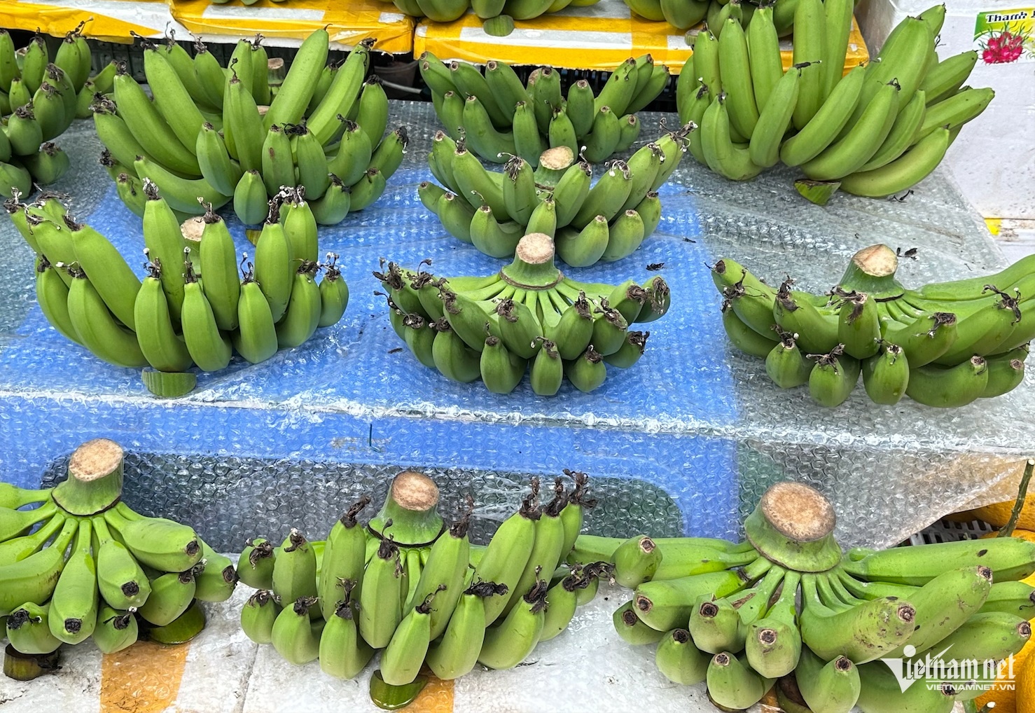 gia chuoi xanh anh 1