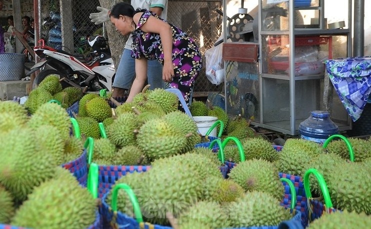 gia sau rieng anh 1