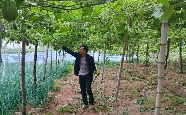 nong san,  nong dan,  gia su su anh 3