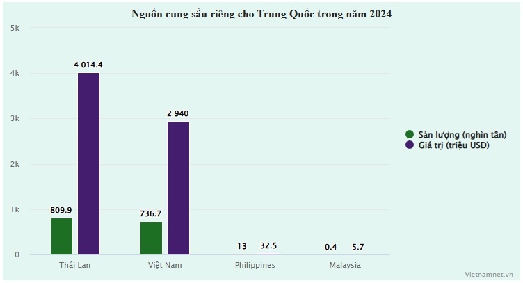 sau rieng rot gia anh 1