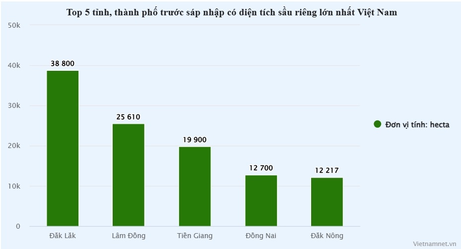 sau rieng viet nam anh 2