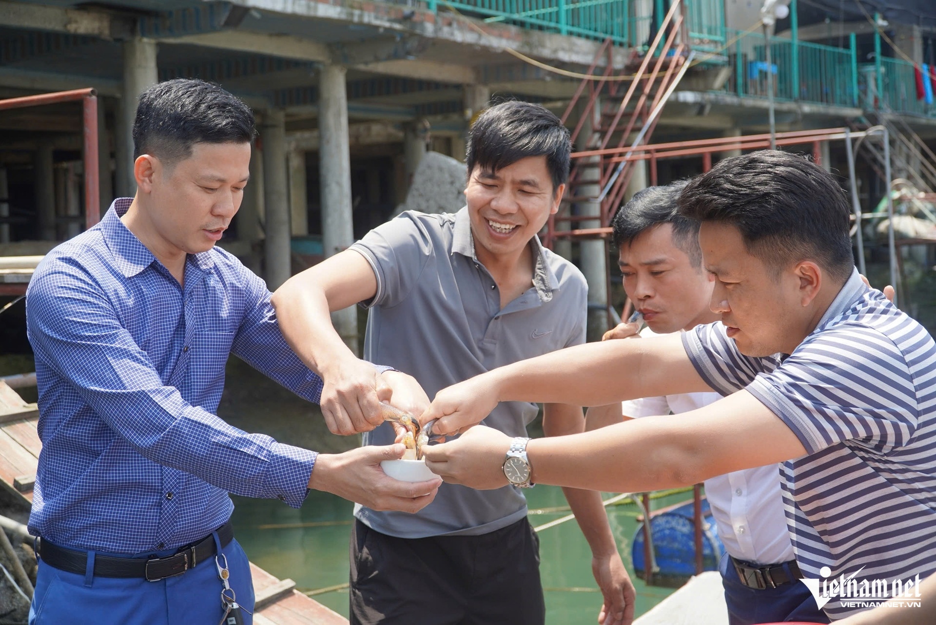 muc vung ang anh 4