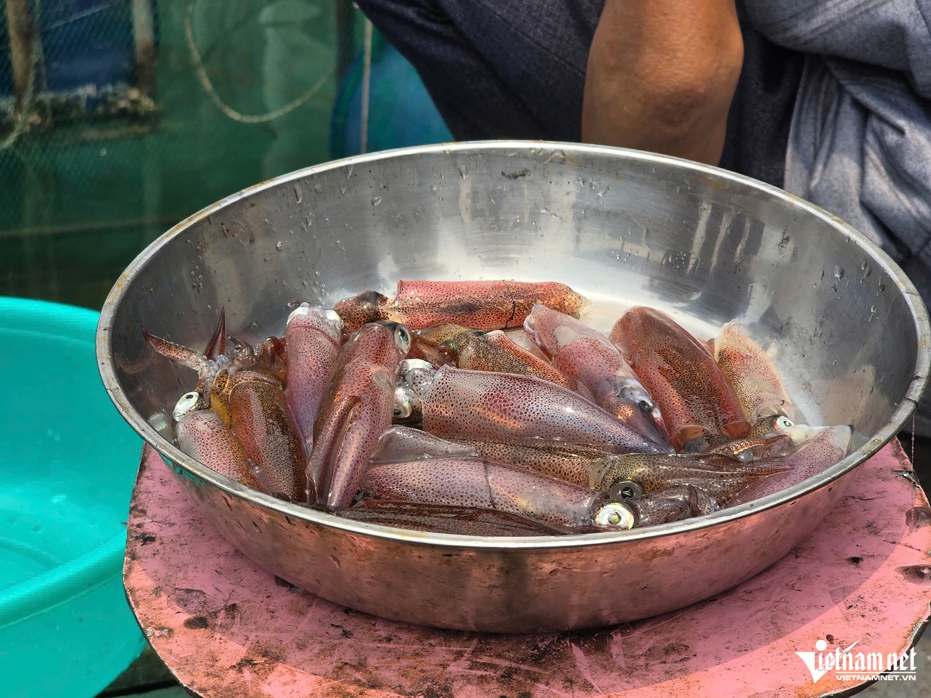 muc vung ang anh 1