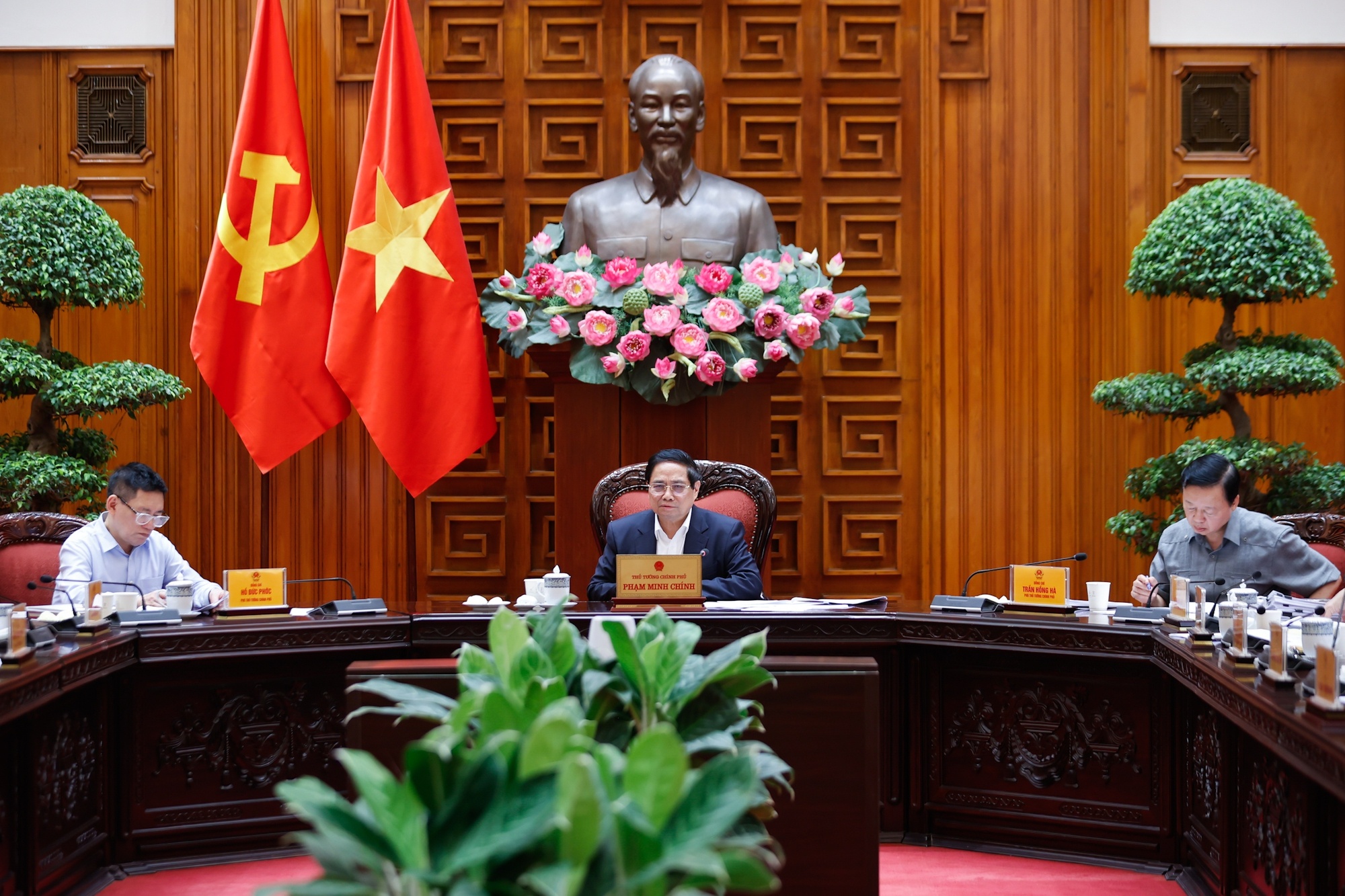dam phan anh 1