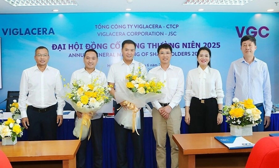 Viglacera co Chu tich HDQT moi hinh anh