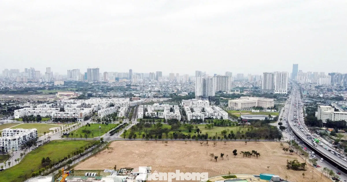 Vi sao chuyen doi dat vuon sang dat o phai dong thue tien ty? hinh anh