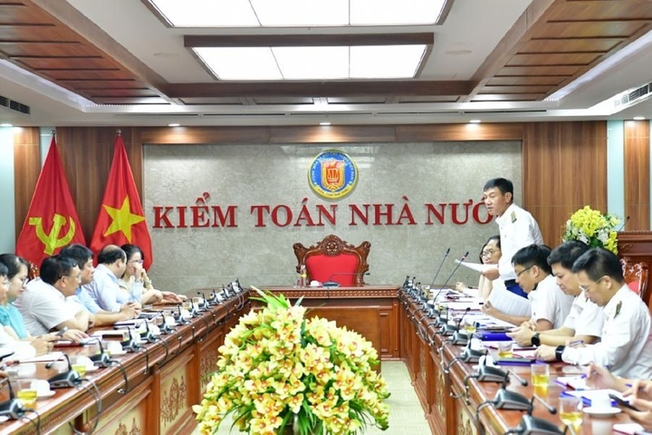 kiem toan dien luc,  kiem toan evn,  phat dien 2 anh 1