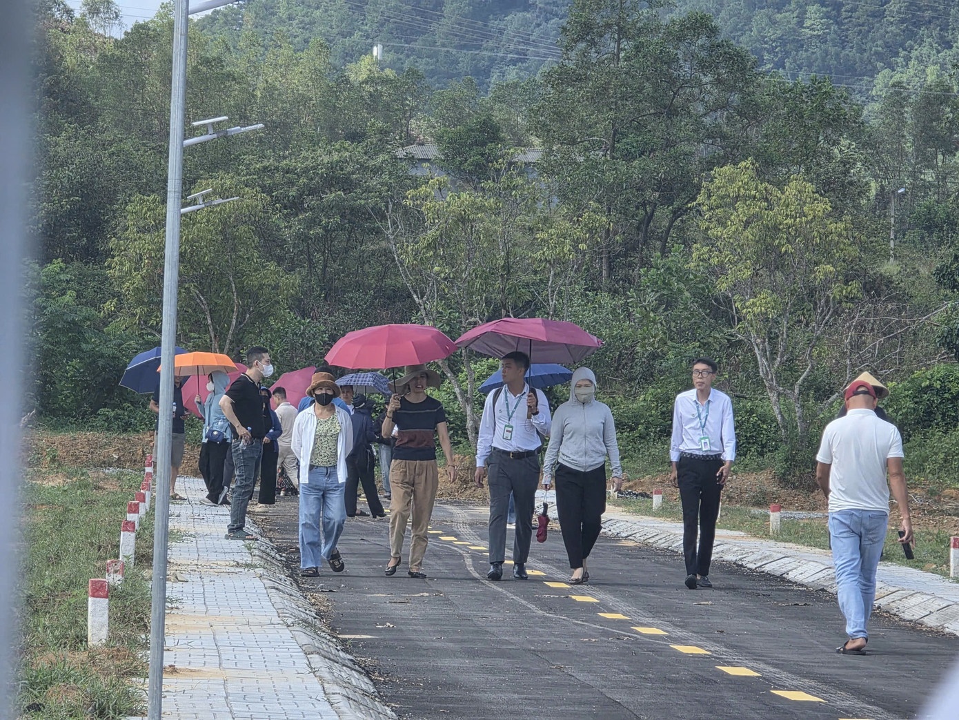 dat ha tinh,  lua ban dat,  lua dat ha tinh anh 2