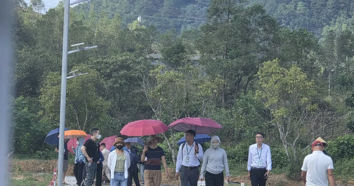 Dung du an 'ao' phan lo ban nen, doanh nghiep bi phat hon nua ty dong hinh anh