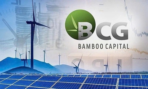 Bamboo Capital va Tracodi xin loi co dong hinh anh