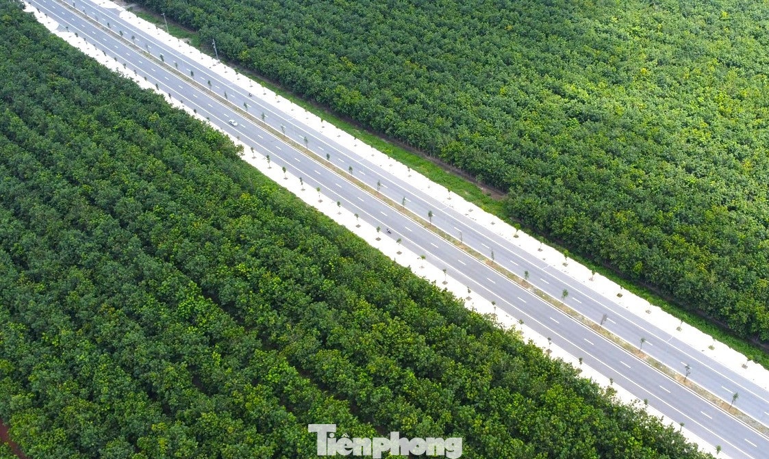 duong Bac Tan Uyen,  duong tp.hcm hong,  sua duong tp.hcm anh 11