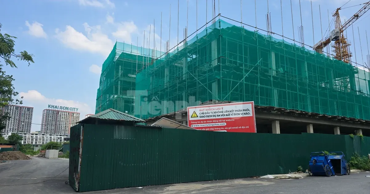 Hang nghin nguoi 'keu troi' vi khong nop duoc ho so nha o xa hoi hinh anh