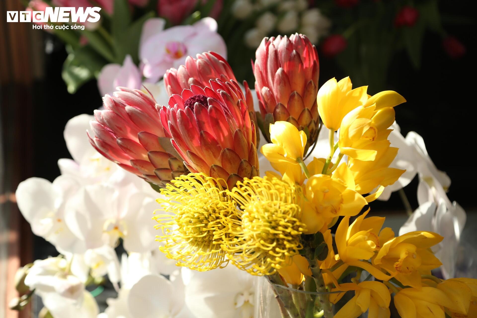 gia hoa,  hoa nam phi,  hoa nhap khau anh 11