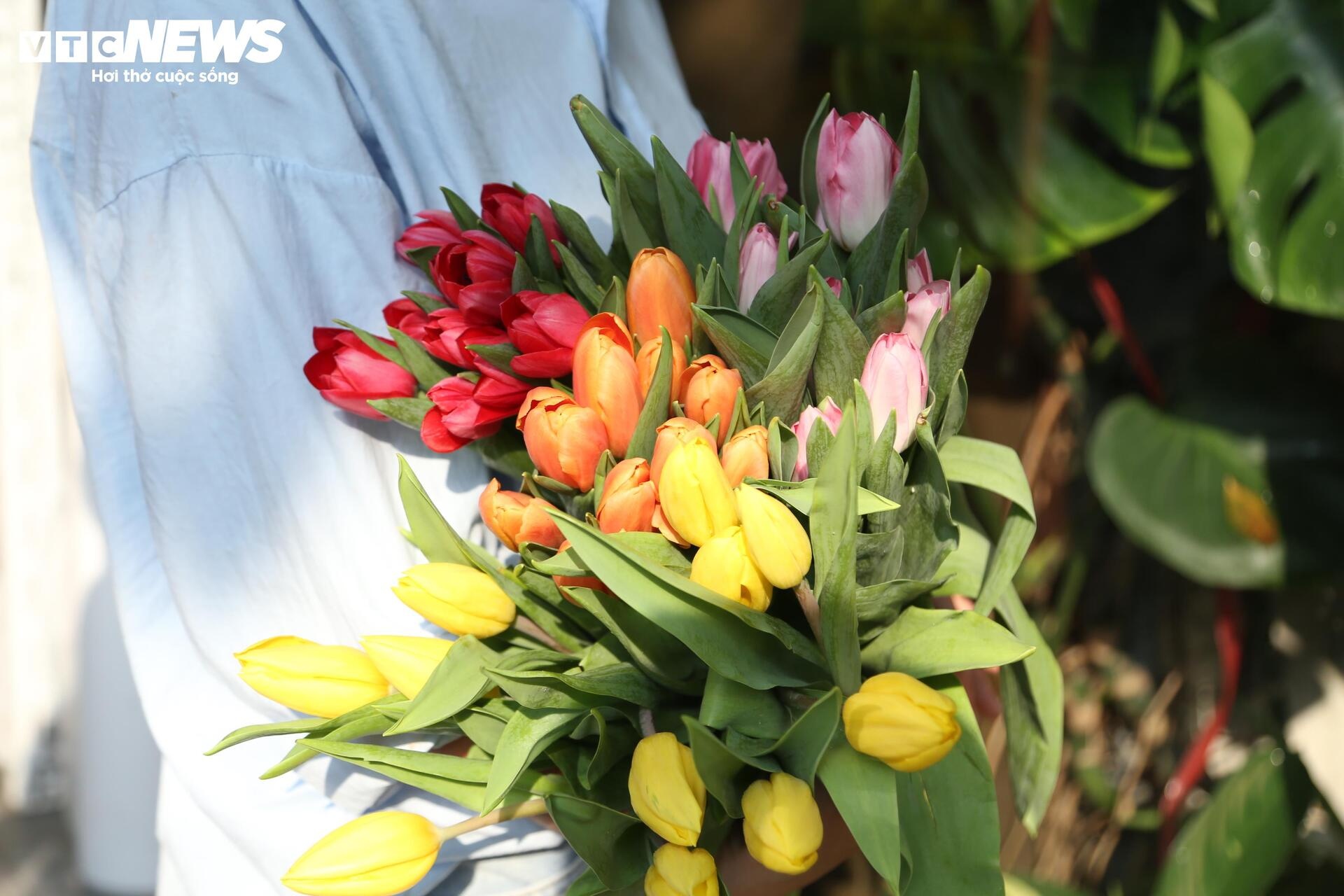 gia hoa,  hoa nam phi,  hoa nhap khau anh 8