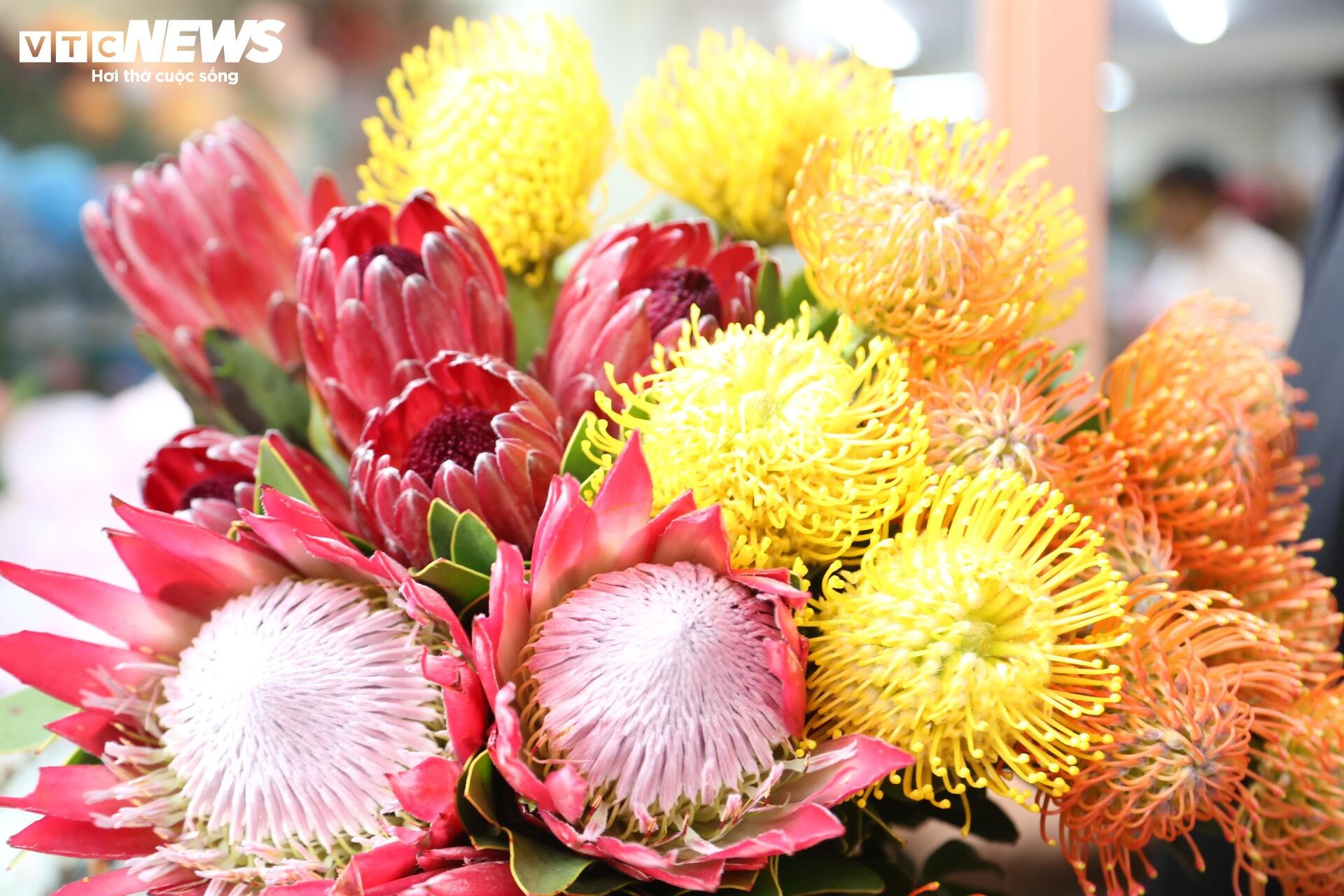 giá hoa, hoa nam phi, hoa nhập khẩu ảnh 3 gia hoa, hoa nam phi, hoa nhap khau anh 3