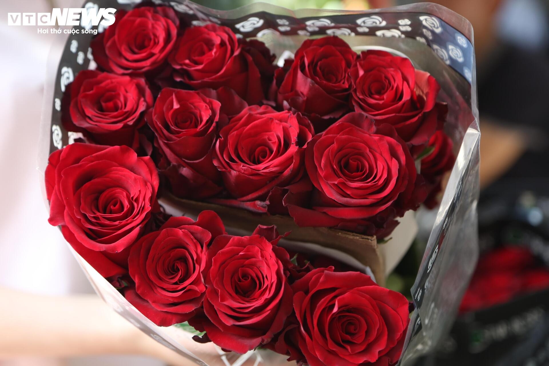 gia hoa,  hoa nam phi,  hoa nhap khau anh 6