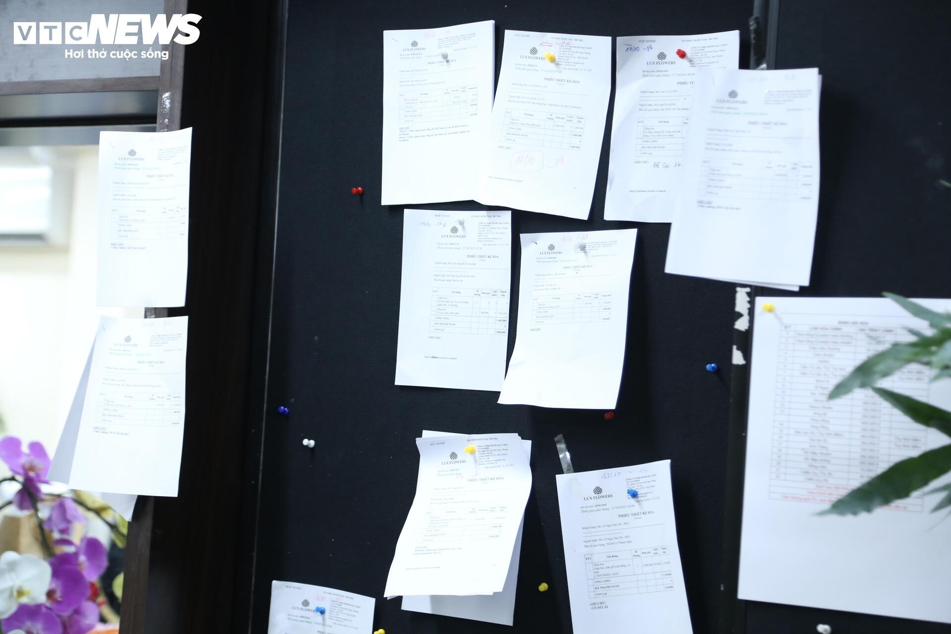 giá hoa, hoa nam phi, hoa nhập khẩu ảnh 13 gia hoa, hoa nam phi, hoa nhap khau anh 13