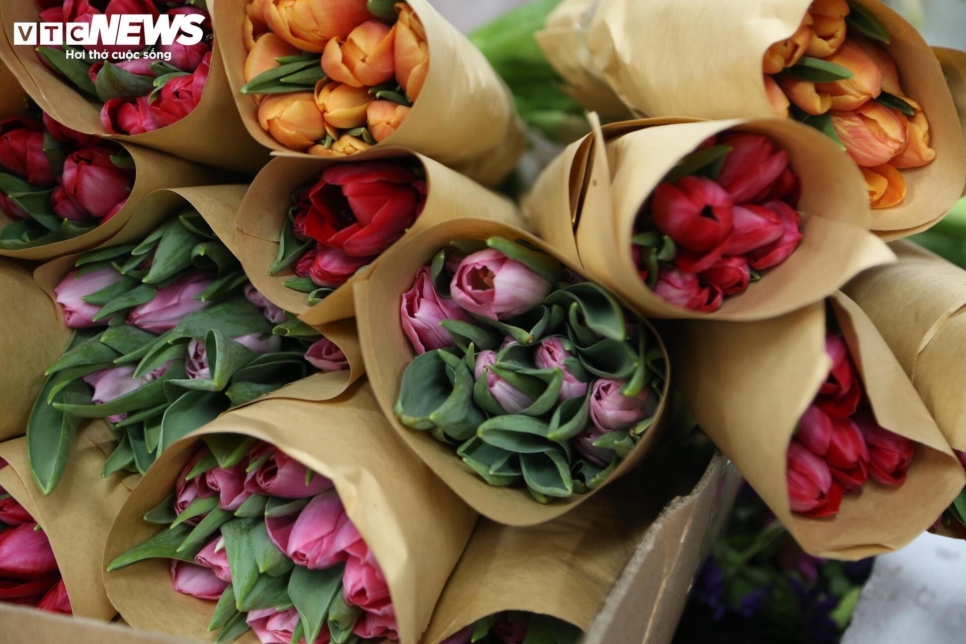 gia hoa,  hoa nam phi,  hoa nhap khau anh 12