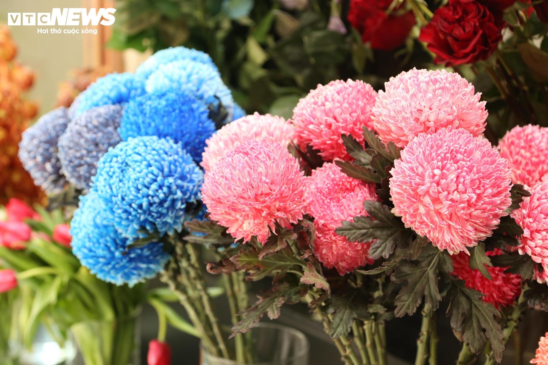 gia hoa,  hoa nam phi,  hoa nhap khau anh 9