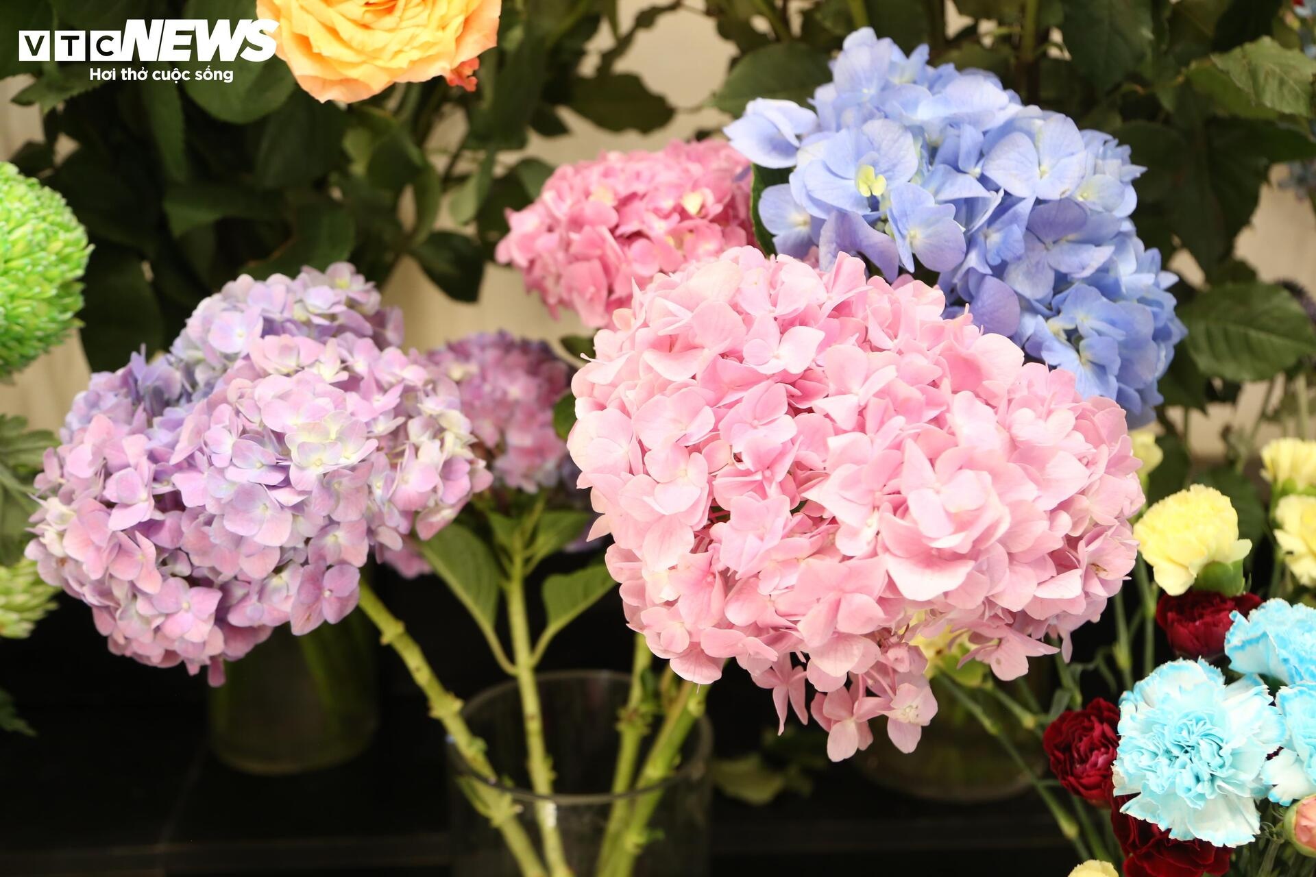 gia hoa,  hoa nam phi,  hoa nhap khau anh 10