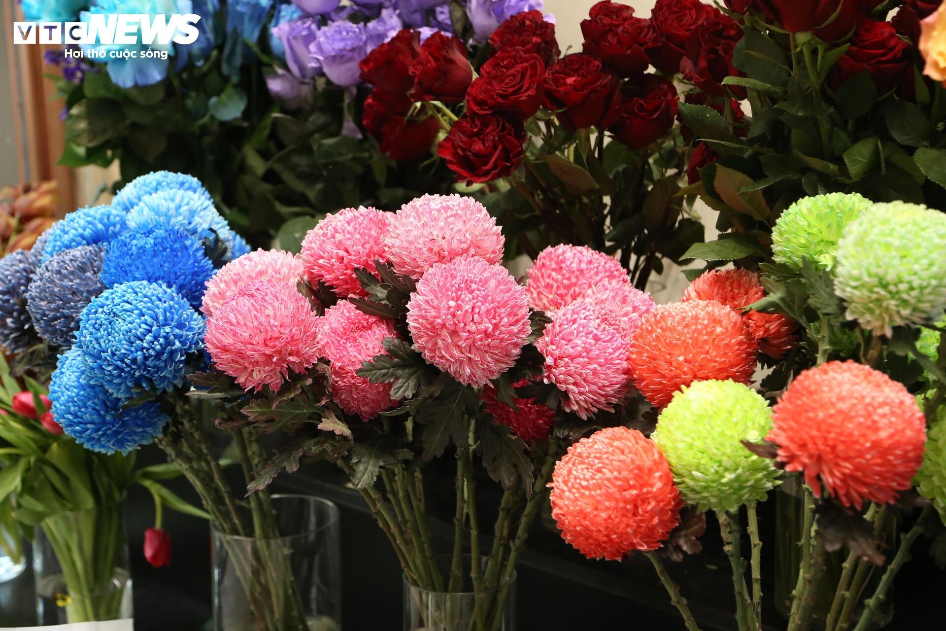 gia hoa,  hoa nam phi,  hoa nhap khau anh 7