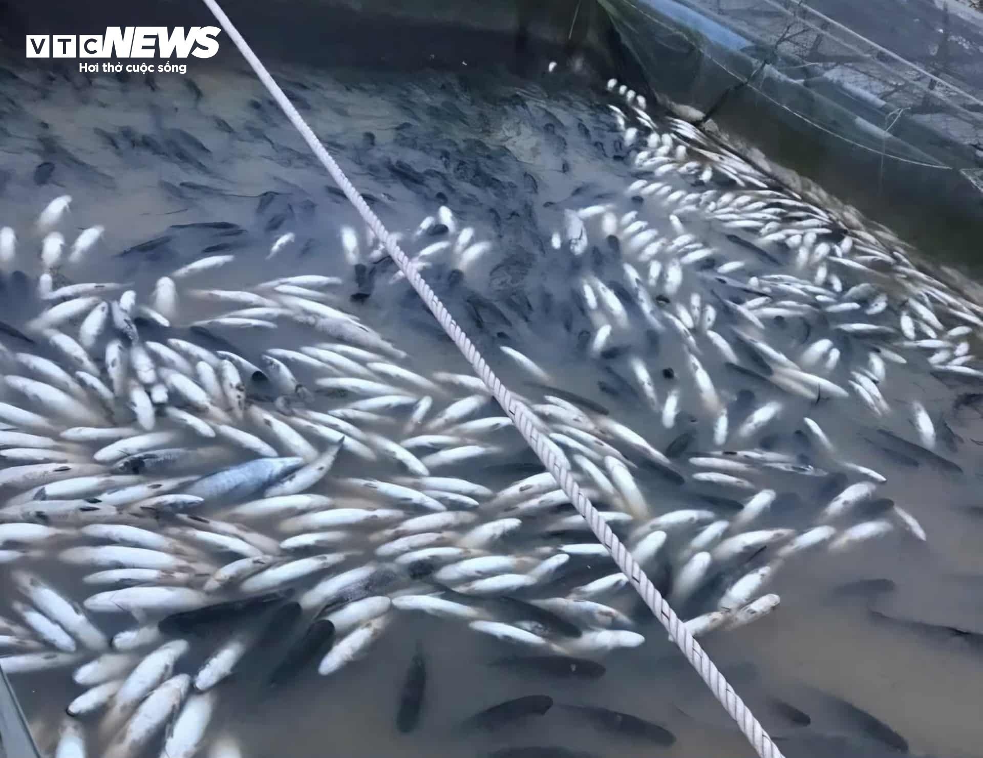 nguoi dan sau lu,  thiet hai lu,  thiet hai lu hue anh 1