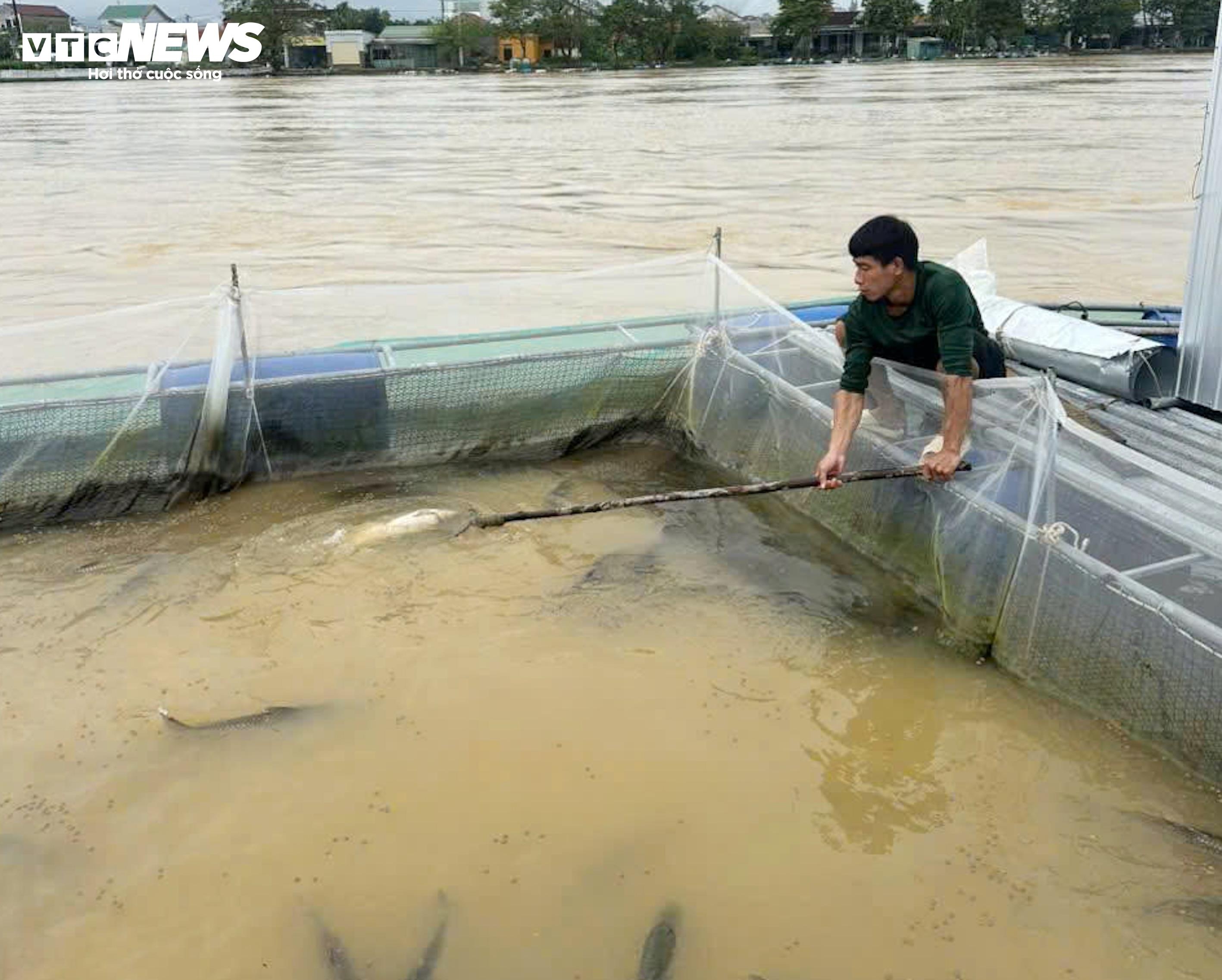 nguoi dan sau lu,  thiet hai lu,  thiet hai lu hue anh 3