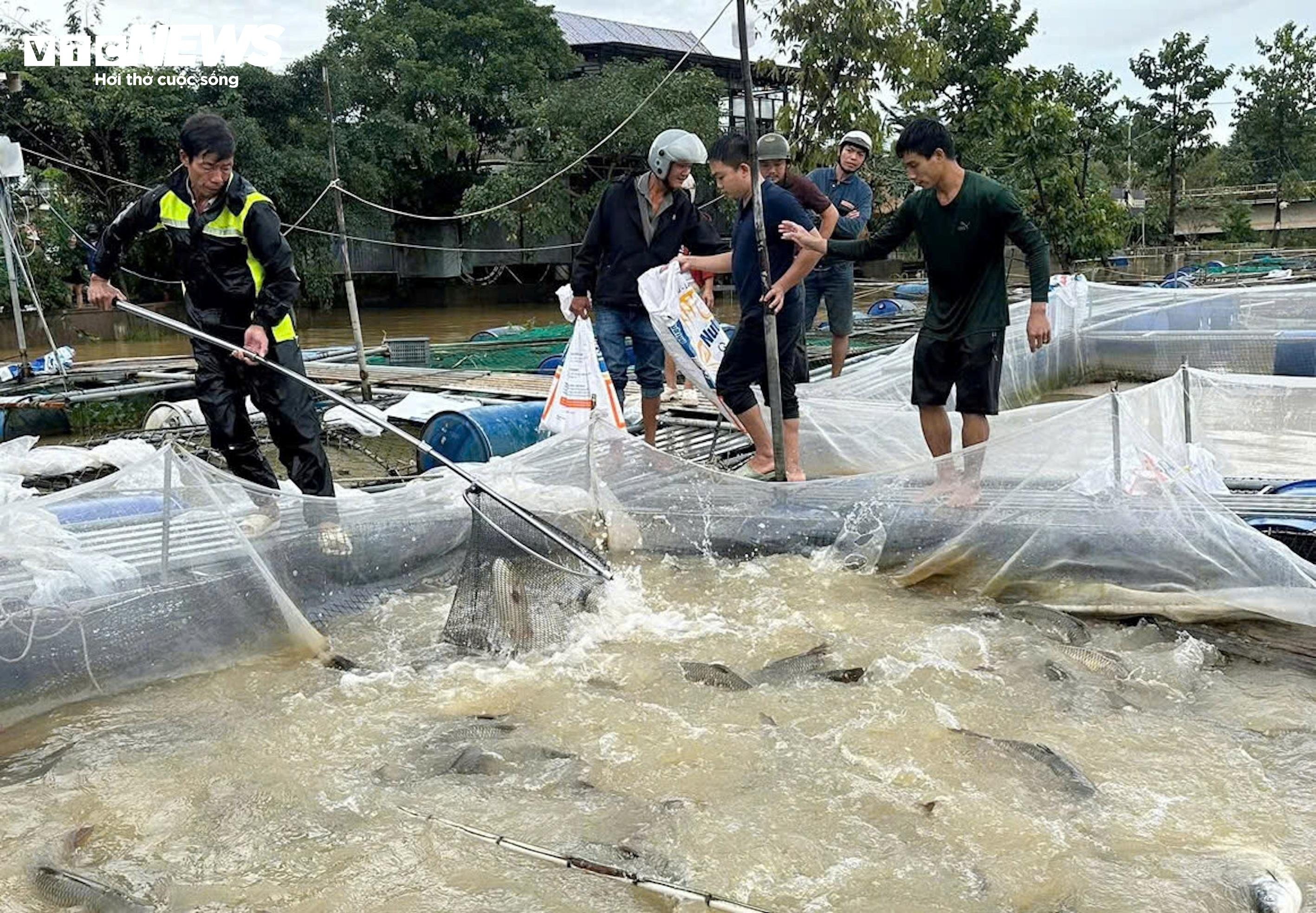 nguoi dan sau lu,  thiet hai lu,  thiet hai lu hue anh 4