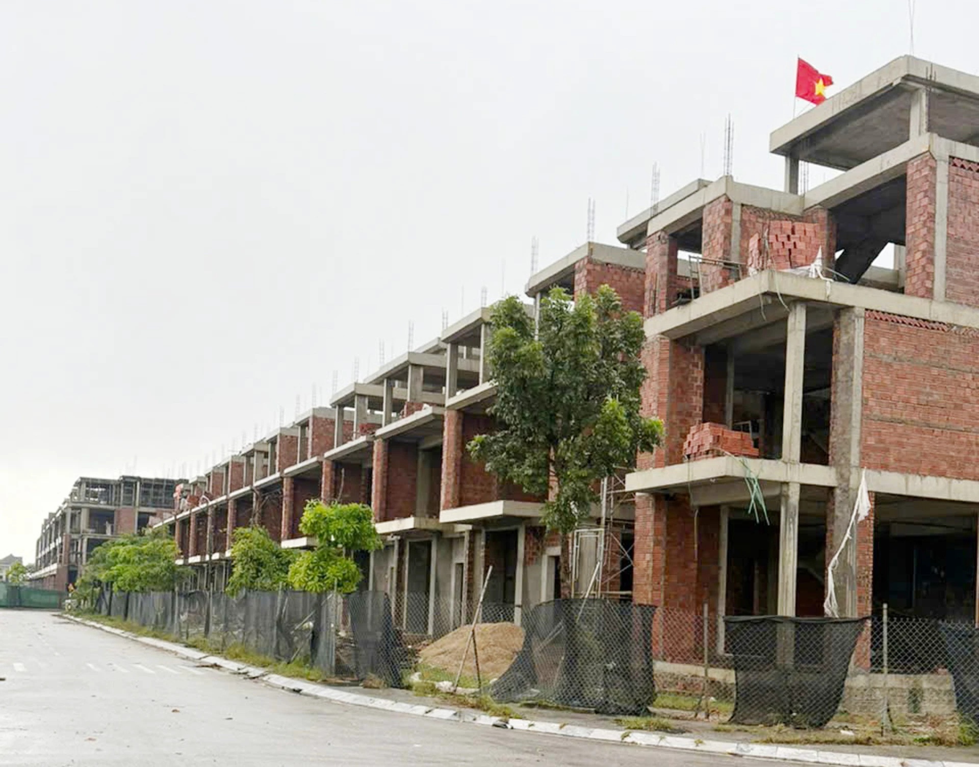 Tap doan Son Hai len tieng sau thong tin 'thanh tra neu sai pham' hinh anh