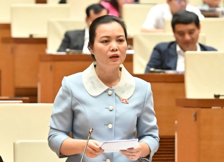 Dai bieu Quoc hoi: Cham chuyen bay, hang phai hoan tien trong 7 ngay hinh anh