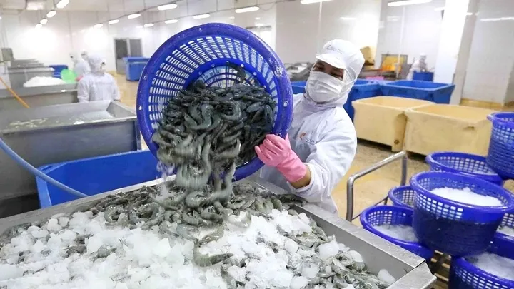 nganh thuy san,  tuyen nguoi,  tuyen lao dong anh 2