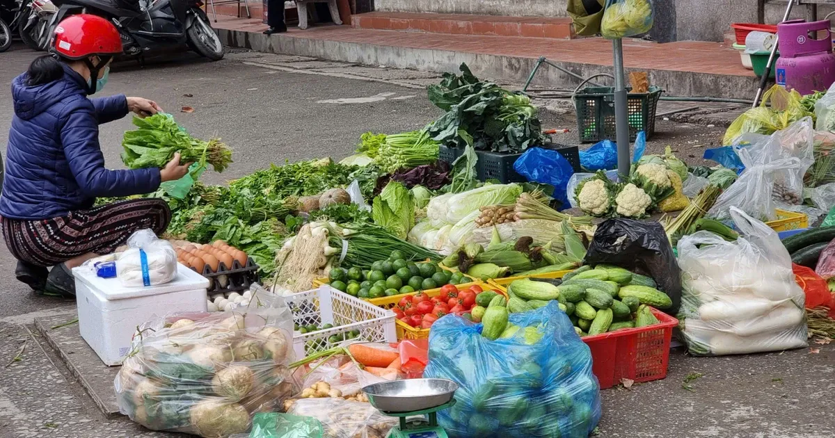 Rau cu dat hon thit, nguoi Ha Noi choang nhu bi 'moc tui' hinh anh