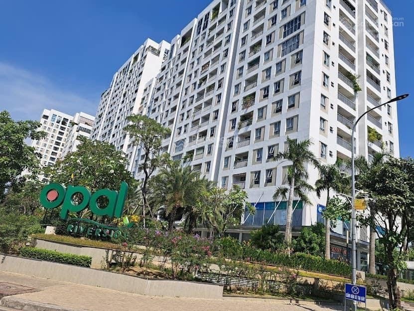 chung cu,  nha dat,  tphcm anh 2