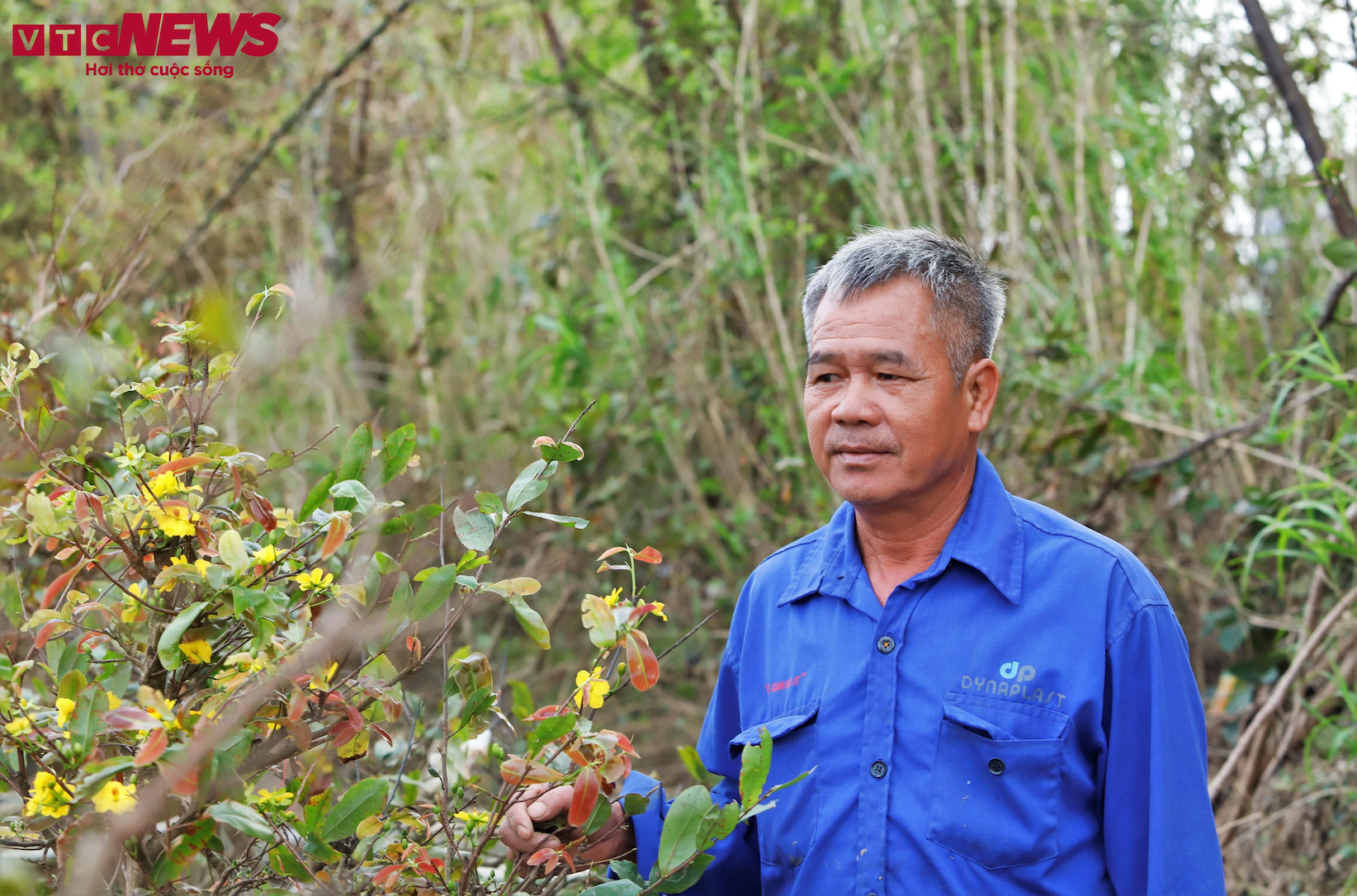 thu phu mai vang anh 10