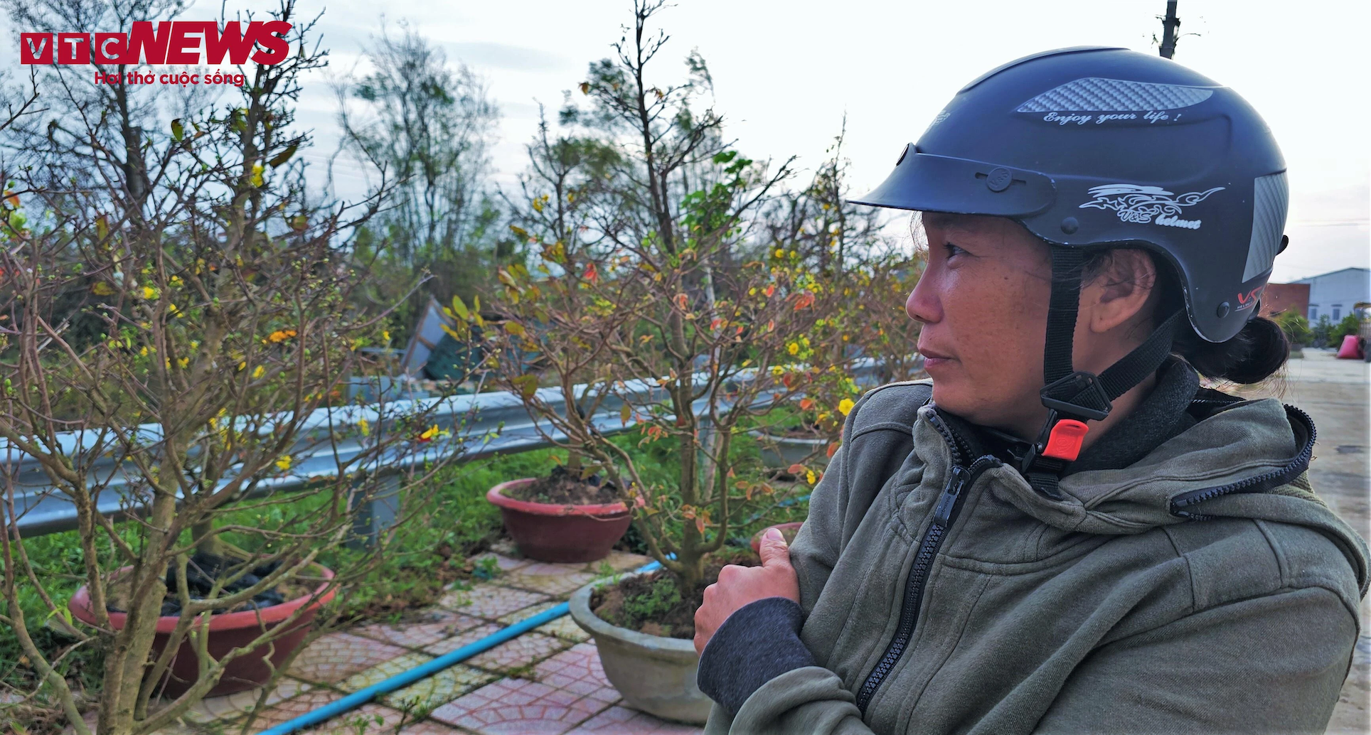 thu phu mai vang anh 11