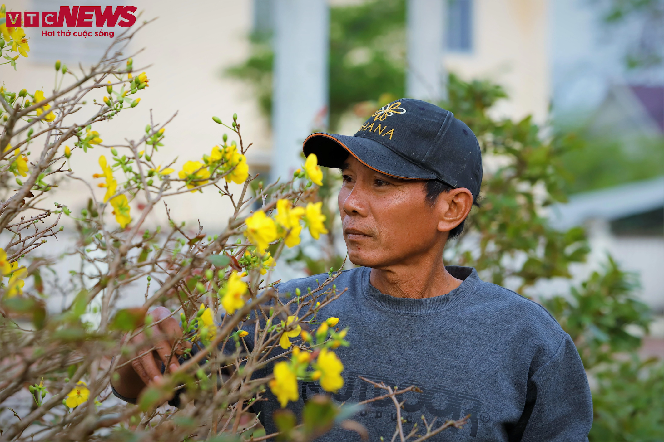 thu phu mai vang anh 9