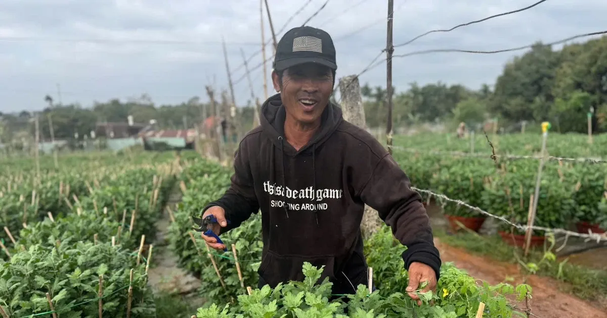 Nong dan Dak Lak vuc day sau lu, rot rao chuan bi vu hoa Tet hinh anh