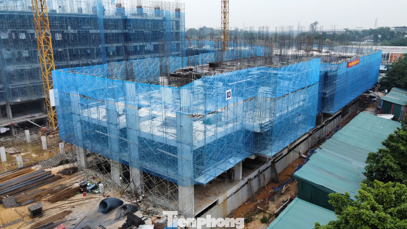 xac nhan thu nhap anh 1