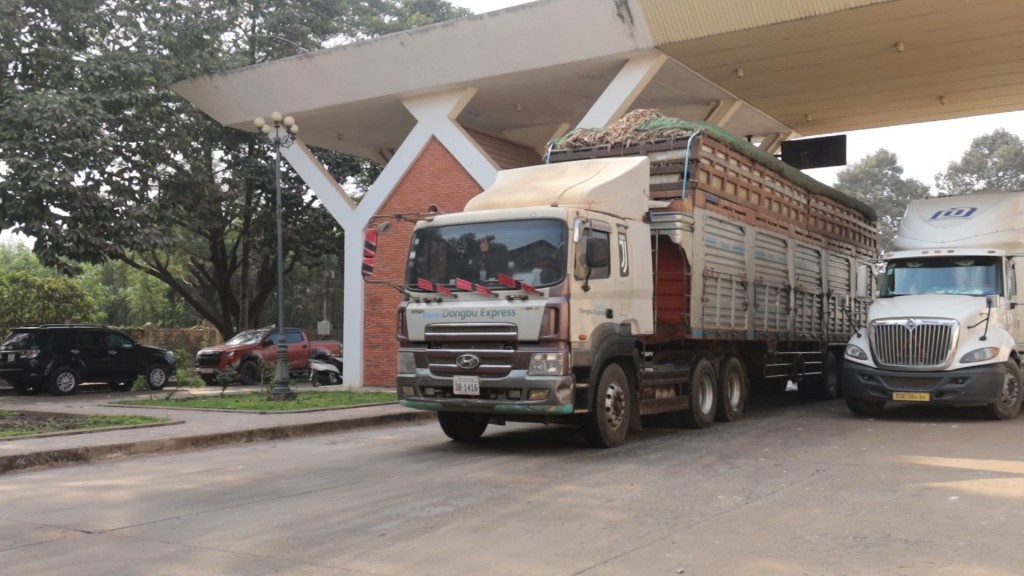 un tac nong san anh 1