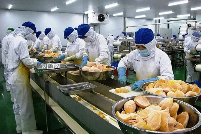 Gan 2.600 nong san Viet xuat khau Trung Quoc phai co 'thu xac nhan' hinh anh