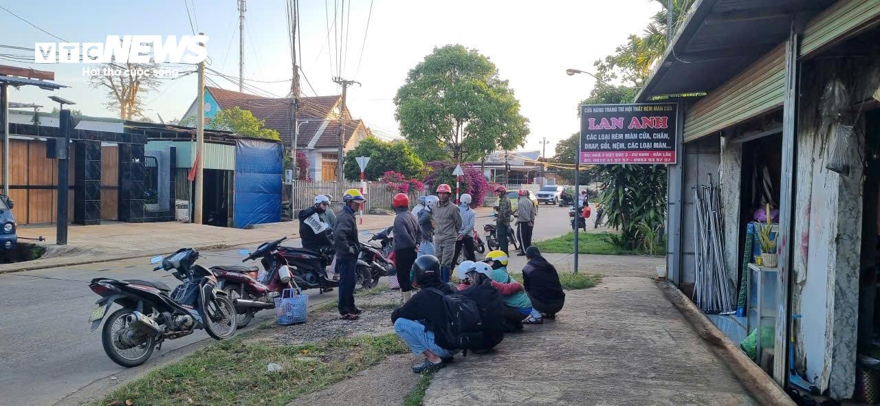 thu hoach ho tieu anh 2