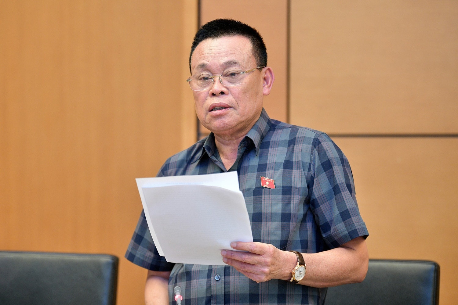 Doanh nhan lam dai bieu Quoc hoi hinh anh