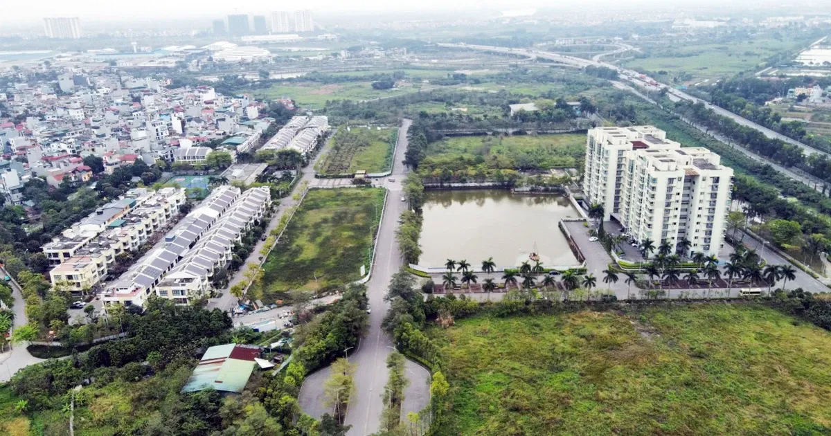 Chu du an 88 Central bo roi quyen loi khach hang? hinh anh