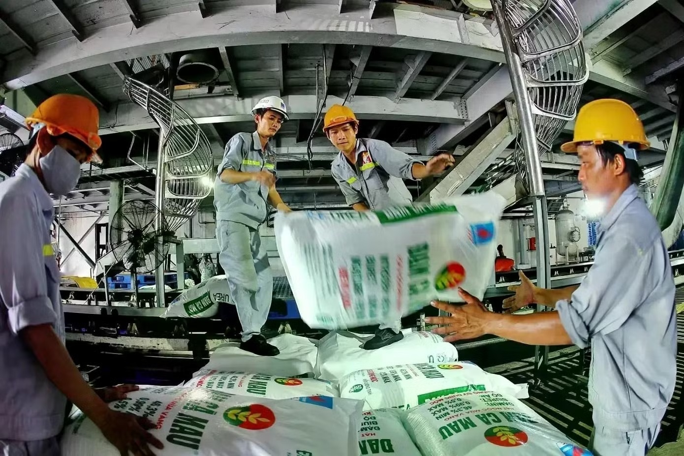 Gia phan bon tang manh: Doanh nghiep 'ke khoc, nguoi cuoi' hinh anh