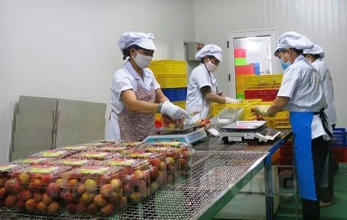 mua vai nam nay anh 2