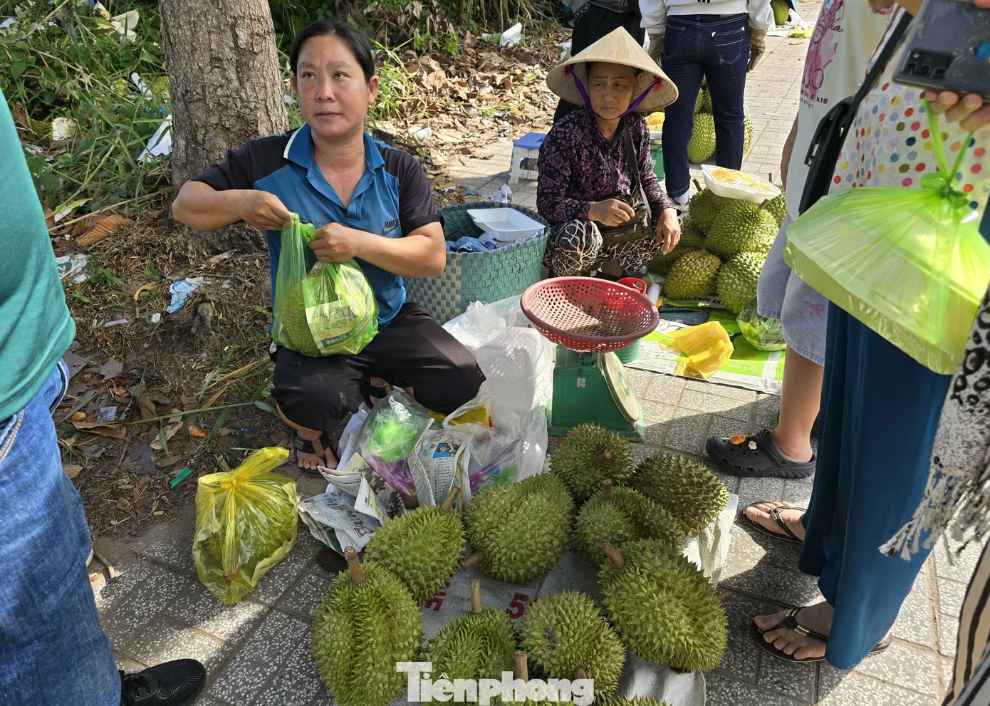 gia sau rieng anh 8