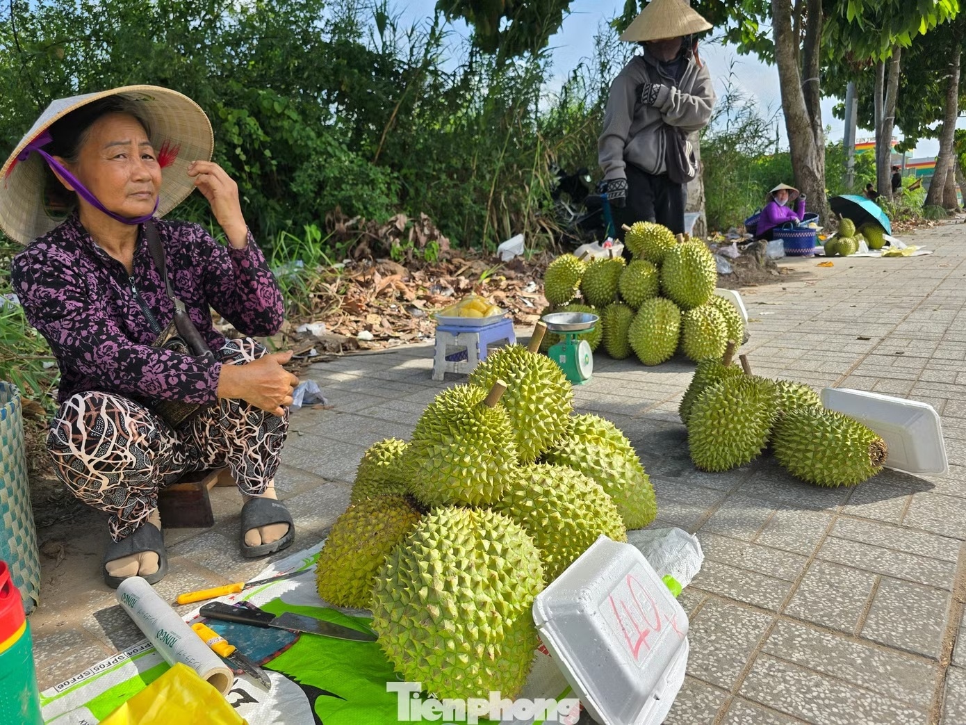 gia sau rieng anh 3