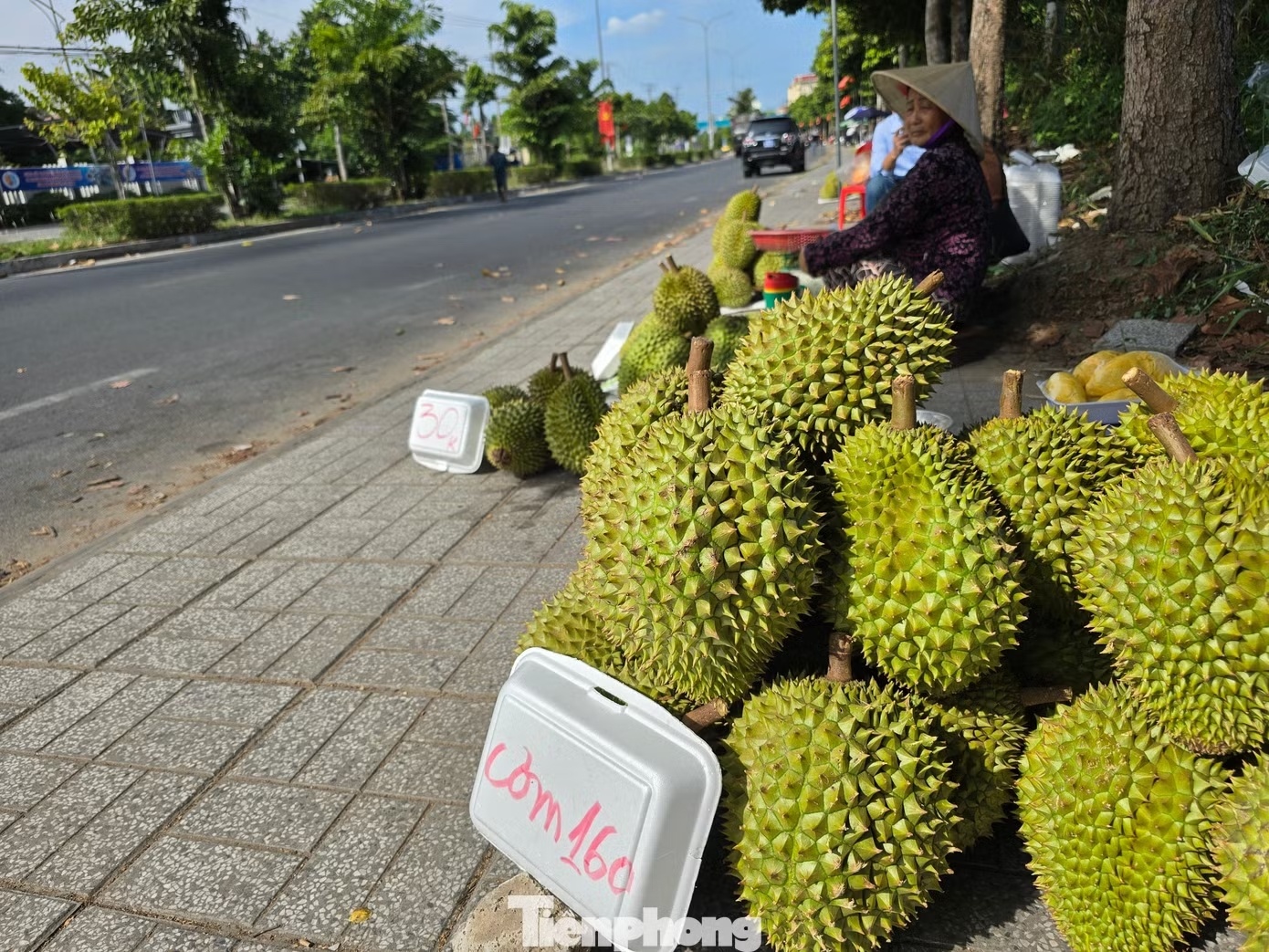 gia sau rieng anh 4