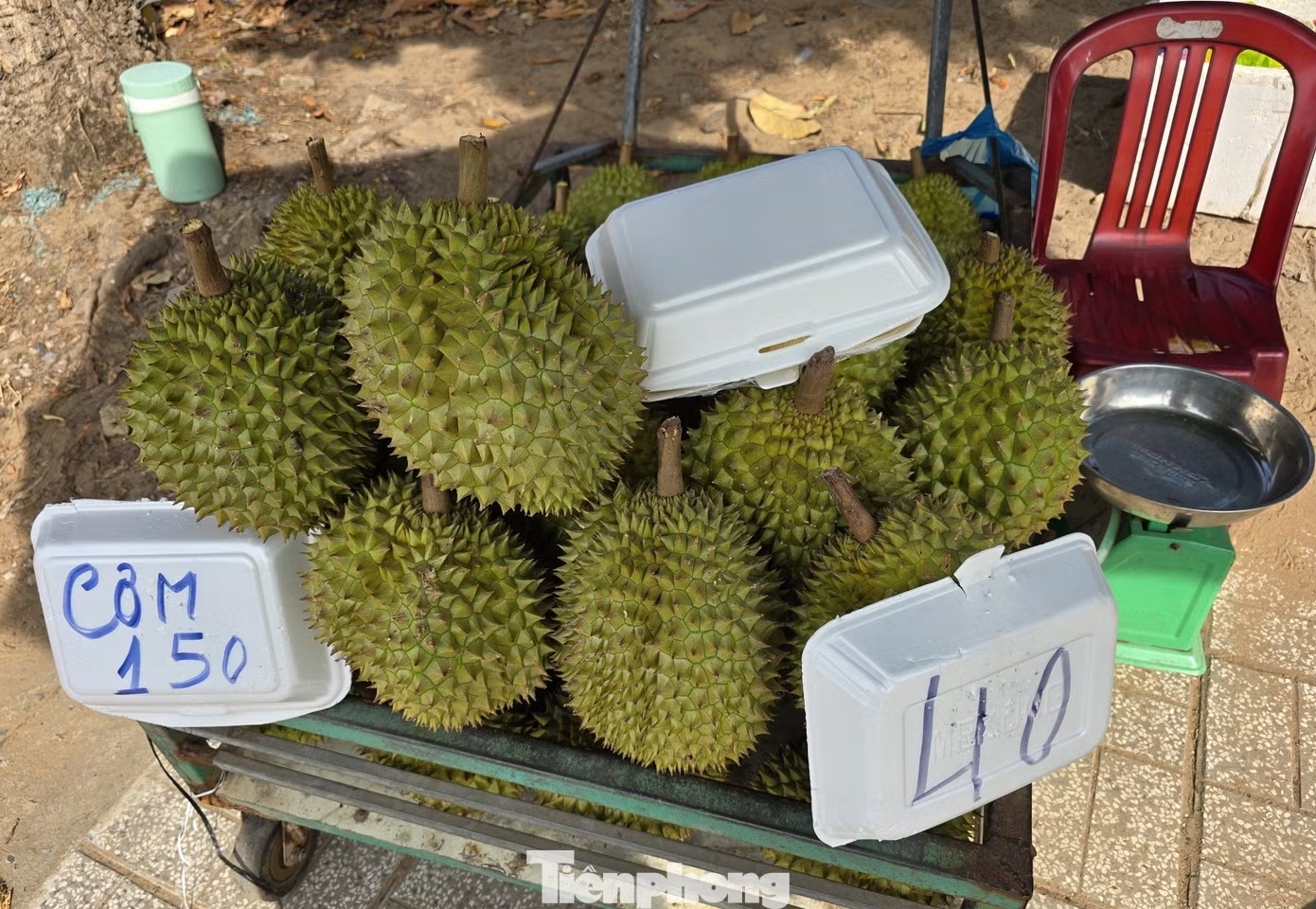 gia sau rieng anh 7