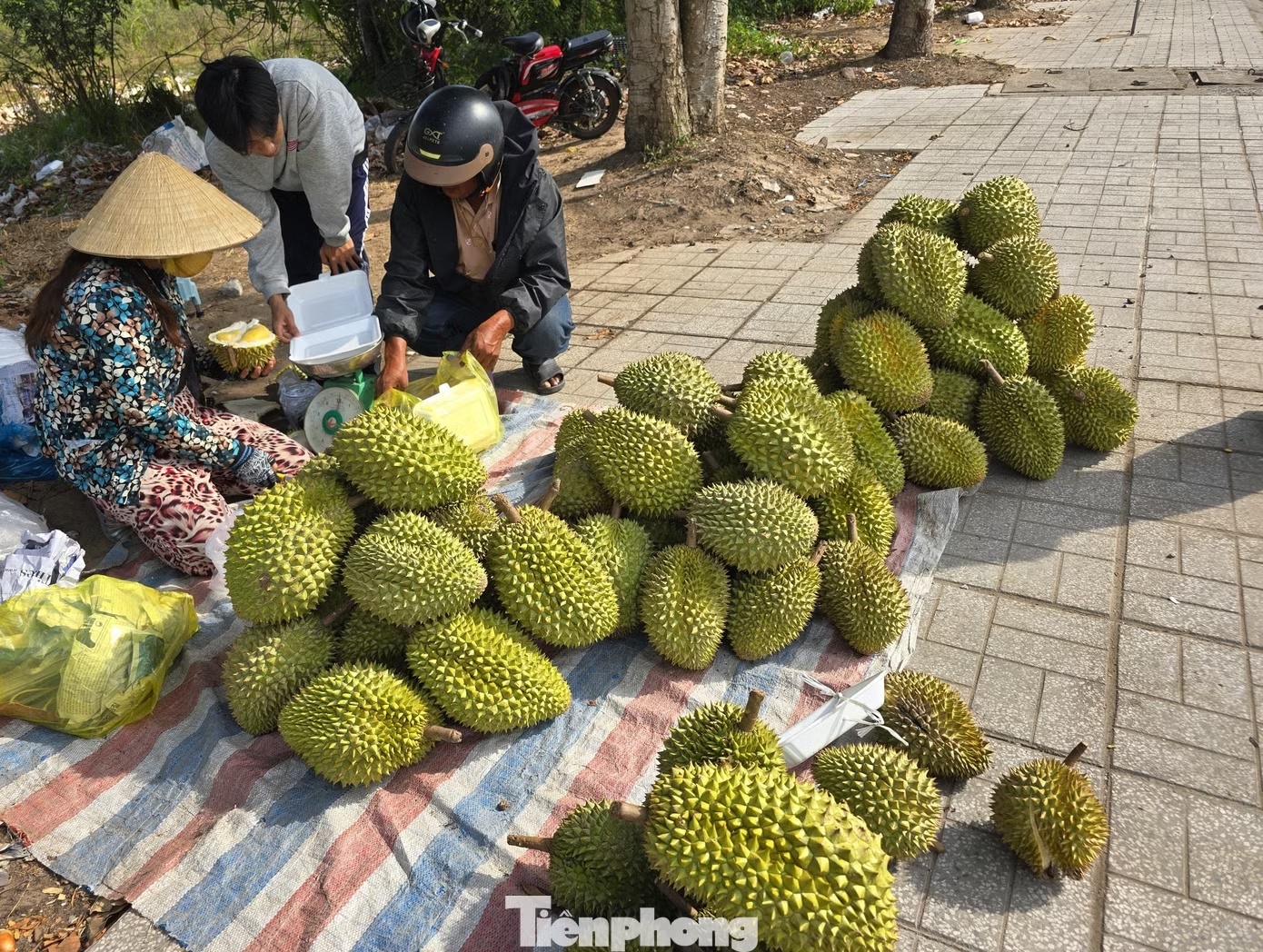 gia sau rieng anh 2